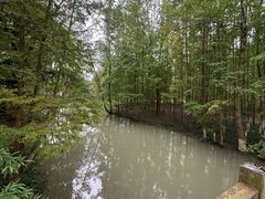 -桤木河湿地公园