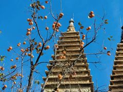 -北京石刻艺术博物馆(五塔寺)