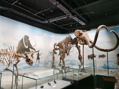 -辽宁古生物博物馆