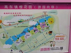 -高东镇樱花园