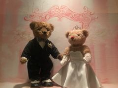 -济州岛泰迪熊博物馆