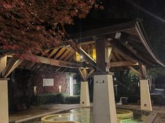 -天目湖涵田半山温泉