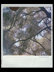 -Hello Lady发型设计