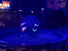 -俄罗斯国家大马戏团