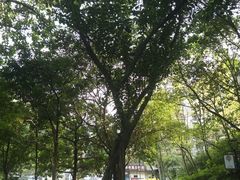-广州雕塑公园