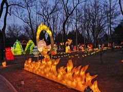 -南宫五洲植物乐园