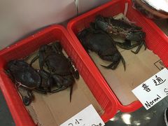 -龙海鲜螃蟹王(宏茂桥店)
