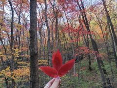 -关门山森林公园