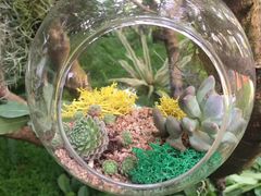 -北京植物园-展览温室