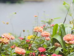 -大妙火锅·非物质文化遗产(东湖公园店)