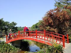 -东莞植物园