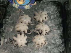 -铭聚章鱼土笋冻(松柏店)