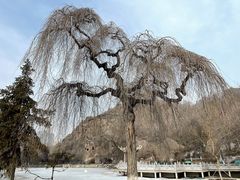 -红山公园