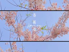 -白石龙音乐公园