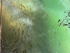 -小七孔景区-六十八级跌水瀑布