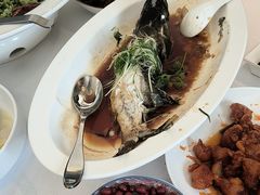 -顺峰(农展馆店)
