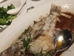 -中发源·清真餐厅(南油店)