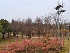 -洨河生态公园