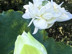 -南戴河国际娱乐中心