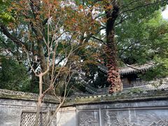 -天一阁博物院