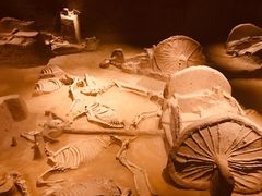 -洛阳周王城天子驾六博物馆