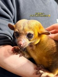 -Zoolung Zoolung动物主题公园(海信广场店)