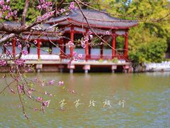 -西湖公园(鼓楼区)