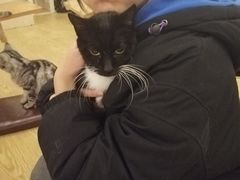 -萌喵咖啡屋(人民东路4号口M16商铺店)