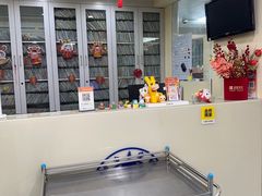 -动物缘宠物医院·骨科·猫科(西二环店)