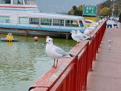 -滇池海埂公园