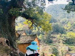 -杨家堂村