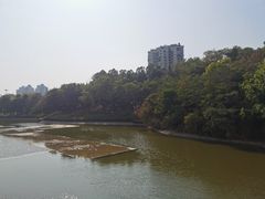 -深圳国际园林花卉博览园