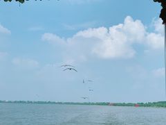 -卧龙湖