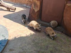 -福州罗源湾海洋世界旅游区