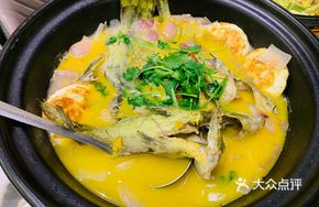 Golden Soup Live Yellow Catfish