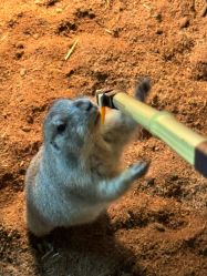 点击看大图 -Zoolung Zoolung动物主题公园(海信广场店)