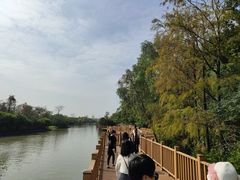 -大湾区中央湿地公园