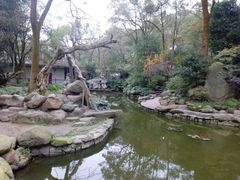 -南山植物园