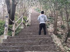-紫金山山顶公园