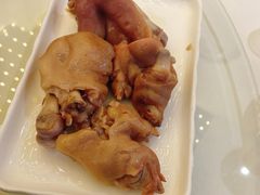-丁老爷子苏香圆