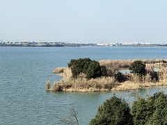 -火福·天湖阁大闸蟹博物馆主题餐厅(浅水湾店)