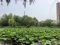 -南翠屏公园
