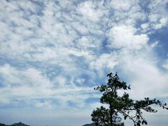 -洛阳白云山景区