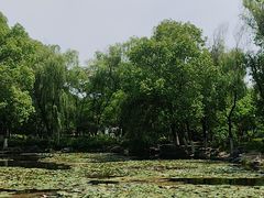 -范蠡湖公园