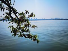 -无锡蠡湖国家湿地公园-蠡园