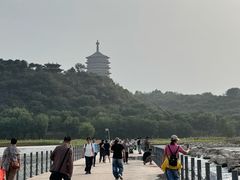 -永定河休闲森林公园