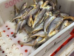 -北京清河镇农副产品交易市场中心