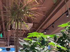 -Wagas沃歌斯(北京君太百货店)