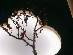 -大桶大足浴(田林路店)