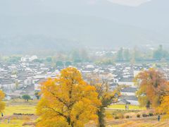 -塔川景区